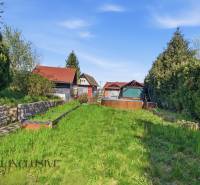 Királyfa melletti kertek kis házzal, sűrű növényzettel és gyepes területtel a kék ég alatt.