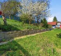 Királyfán található kertek virágzó fával és zölddel a domboldalon.