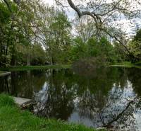 Egy tó fákkal és zöld fűvel körülvéve Stupaván, Vincent Šikula utcában.