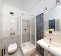 Fürdőszoba egy kétszobás lakásban zuhanyzóval és modern szürke színű csempével.