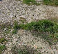 Telkek - lakóövezet a Tešedíkovo utcában, Tešedíkovo, füves felülettel és építési hulladékkal.