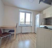 Konyha egy egyszobás lakásban fa dekorációval és padlóval.