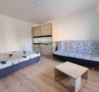 1 szobás lakás belső tere ággyal, kanapéval és fa dekorációjú padlóval.