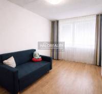 Szoba egy négy szobás lakásban kék kanapéval és fa mintázatú padlóval.