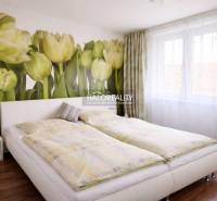 Hálószoba egy négyszobás lakásban tulipános tapétával és padlón lévő ággyal fa dekorációval.