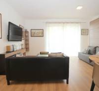 1 szobás lakás kanapéval, TV-vel, fa dekoros padlóval és nagy ablakokkal.