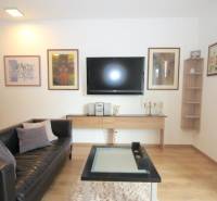 Nappali egy egyszobás lakásban televízióval, bőrkanapéval és fa dekorációjú padlóval.