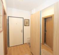 Előszoba belső tér fa dekor padlóval egy egyszobás lakásban.