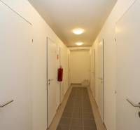 Folyosó világos falakkal és ajtókkal, 1 szobás lakás, tárolóhely.