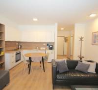 1 szobás lakás konyhával, fa hatású padló, kanapé és étkezőasztal.