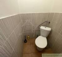 Családi házban lévő WC kerámia padlóval és csempékkel.