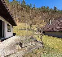 Kert a ház mellett Moštenicében, kilátással az erdős hegyoldalra.