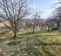 Szőlőskert Aranyosmaróton kilátással, fákkal és füves területtel.