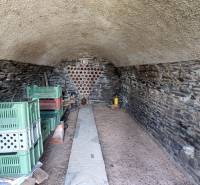 Kőpince polcokkal és műanyag ládákkal a szőlőskertben.