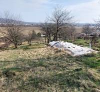 Kiterjedt szőlőültetvények Aranyosmarót közelében, fákkal és kilátással a mezőkre és hegyekre.