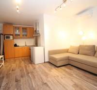 Nappali egy szobás lakásban konyhasarokkal és fa mintázatú padlóval.