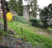 Kert gyepesítéssel, fákkal és bokrokkal Pozsonyban - Óvárosban, a Lichardova utcában.