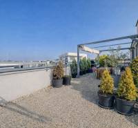 A Dunaszerdahelyi Diófa utcai 2 szobás lakás tetőterasza növényekkel cserépben.