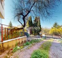 Családi ház Rimaszombatban udvarral, fákkal és kövezett járdával.