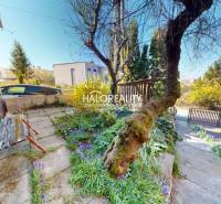 A rimavszombati családi ház előtt van egy kert, egy pad és egy fa.