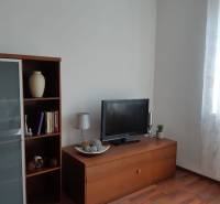 Nappali fa hatású padlóval, könyvespolccal, televízióval és dekoratív tárgyakkal.