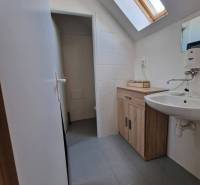 Fürdőszoba tetőablakkal, világos csempékkel és fa dekorációjú bútorokkal az üzlethelyiségben.