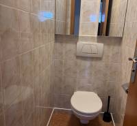 WC a családi házban csempével és tükörrel, fa dekorációval a padlón.