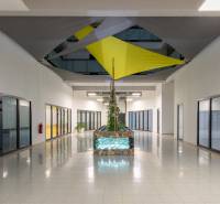 Irodai helyiségek növénnyel, üvegajtókkal és színes tetődíszítéssel.