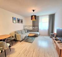 Világos nappali egy kétszobás lakásban kényelmes kanapéval és fa dekorációjú padlóval.