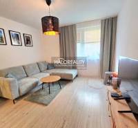 Nappali egy kétszobás lakásban, fa dekorációjú padlóval és kényelmes ülőgarnitúrával.