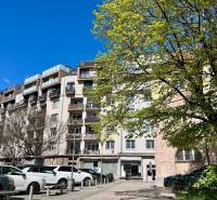 Tömbház a Dulovo téren Pozsonyban - Ružinov fákkal és parkoló autókkal.