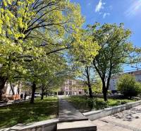 Zöldterület és fák a pozsonyi Ružinovban található Dulovo téren napsütéses időben.