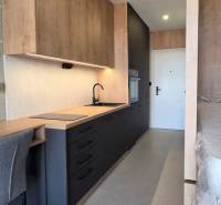 A garzonlakásnak van egy konyhapultja fa mintázatú padlóval és beépített háztartási gépekkel.