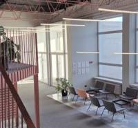 Belső tér kanapékkal, lépcsővel és nagy ablakokkal. Légies tér növényekkel.