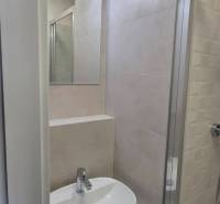 Kompakt fürdőszoba garzonlakásban mosdóval, tükörrel és zuhanyzóval.