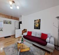 Nappali egy kétszobás lakásban kanapéval, fa dekorációval és művészi képpel.