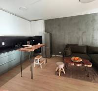 2 szobás lakás modern konyhával, kanapéval és fa dekorációjú padlóval.