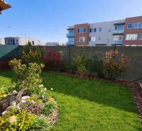 Kert színes virágültetvénnyel a Jaseňová utcában, Miloslavovban, egy 2 szobás lakás mögött.