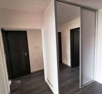 Vstupná chodba v 3-izbovom byte s podlahou s dreveným dekorom a vstavanou skriňou.