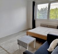 Szoba egy egyszobás lakásban kanapéval, ággyal és nagy ablakkal.