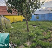 A tureni családi ház kertje üvegházzal, fával és gyepes területtel.