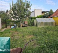 Kert pavilonnal és üvegházzal a családi ház mögött a Tureni utcában.
