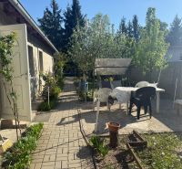 Kert a Sekule utcában lévő házikó mellett, ülőhellyel és virágágyással.