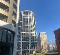 IMG_2566.jpeg