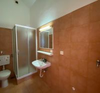 Fürdőszoba a nyaraló apartmanban mosdóval és zuhanyzóval.