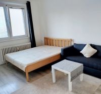 Egy szobás lakás ággyal, kanapéval és asztallal; fa dekorációjú padló.
