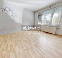 Szoba fa dekorációjú padlóval, szürke falakkal és nagy ablakokkal egy egyszobás lakásban.