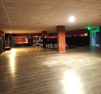Tágas üzlethelyiség fa padlóval és mennyezeti világítással kiadó.