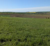 20118.jpg