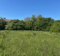 IMG_2506.jpeg